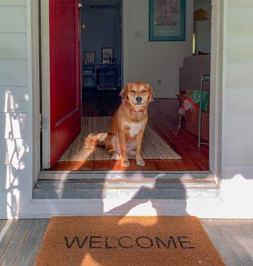 Entrance-Rugs-For-Hardwood-Floors-2