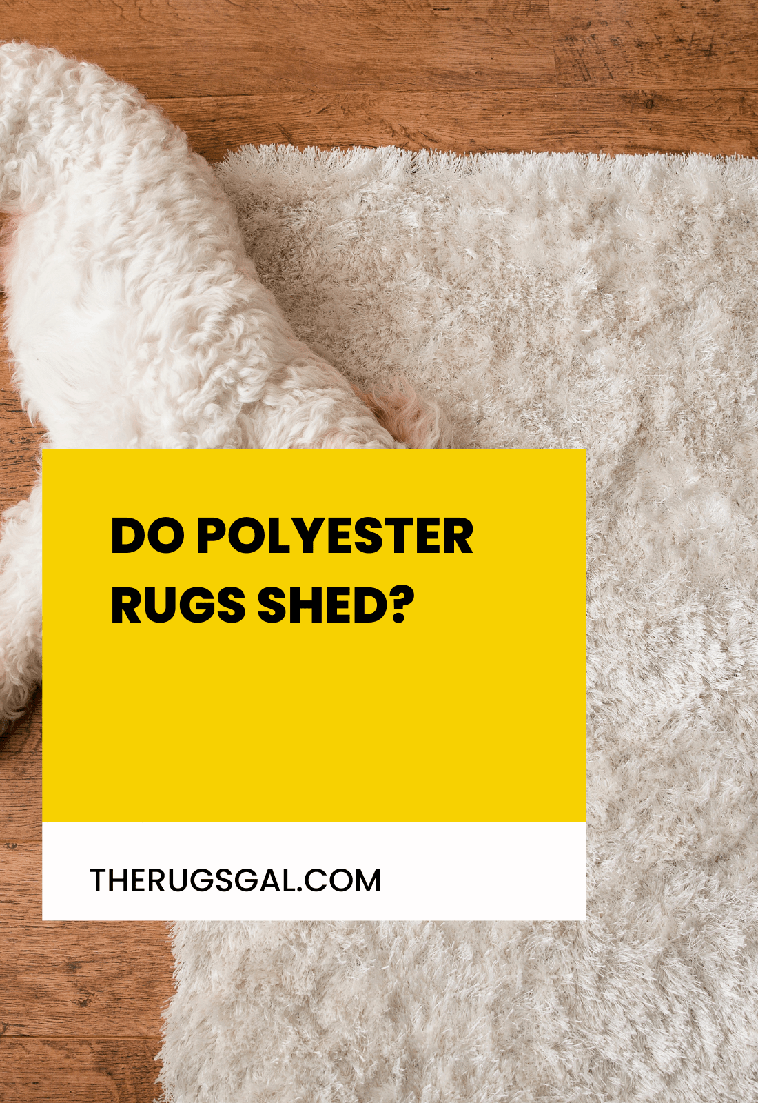 Do Polyester Rugs Shed?