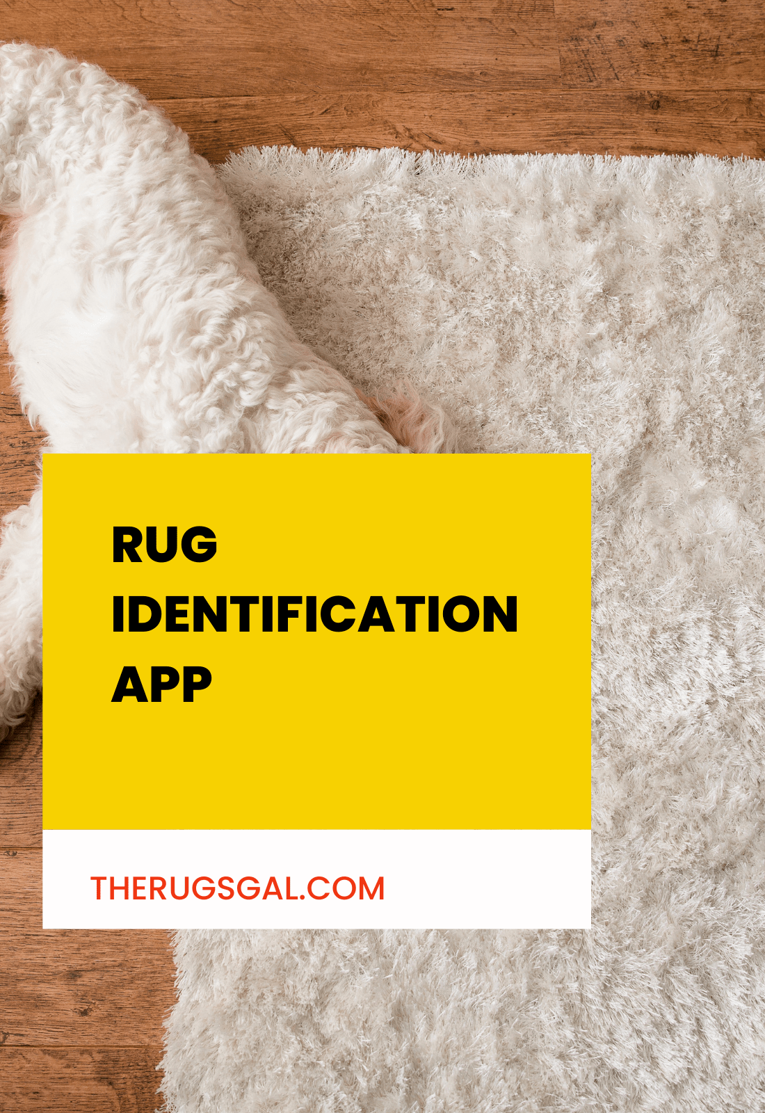 Rug Identification App