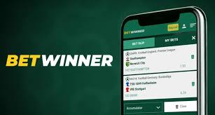 Your Ultimate Guide to Betting with BetWinner