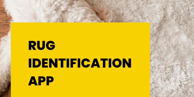 Rug Identification App: How to Find Out the Origin and Value of Your Rug