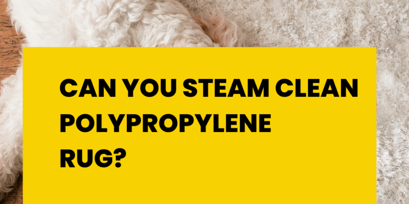 Can You Steam Clean Polypropylene Rug?