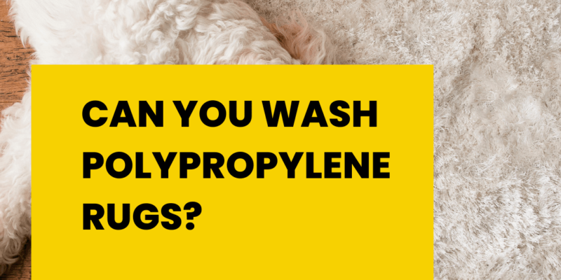 Can you wash polypropylene rugs?