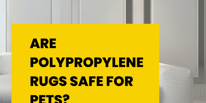 Are Polypropylene Rugs Safe for Pets?