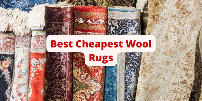5 Best 100 Percent Cheapest Wool Rugs On Amazon for Living Room