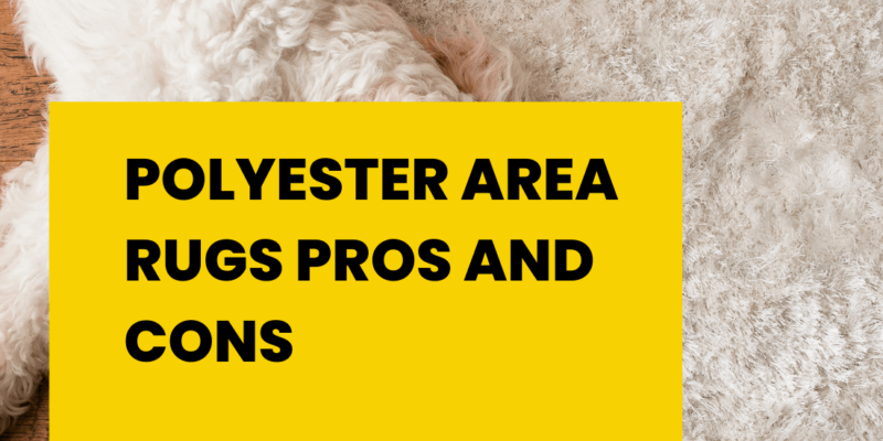 Polyester Area Rugs Pros and Cons: 10 Things You Must Know