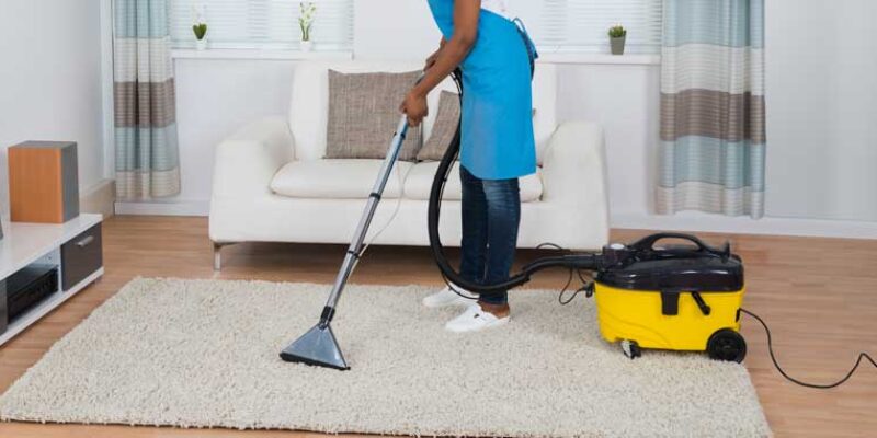 Best Vacuum For Oriental Rugs