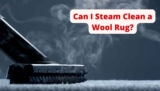 Can I Steam Clean a Wool Rug?